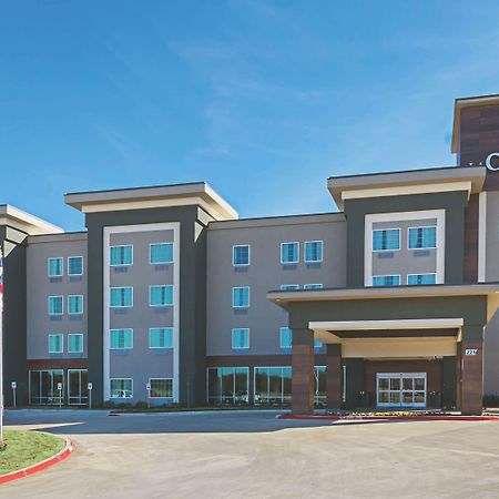 La Quinta By Wyndham Dallas - Wylie Экстерьер фото